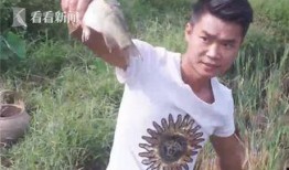 农民网红爆料视频播放网站,揭秘农民网红爆红背后的视频播放网站