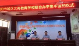 濮阳学校事件大爆料视频,真相与反思